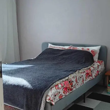 Good Location Close To East Center Apartment